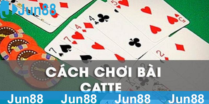 Chiến lược chơi game bài Catte từ các cao thủ trong giới